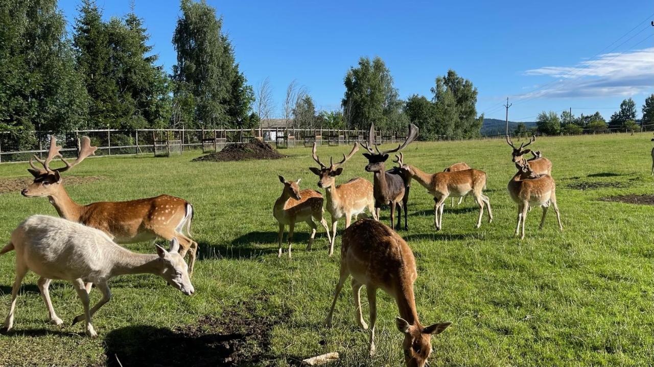 Farma Frantisek Hotel Stachy Eksteriør billede