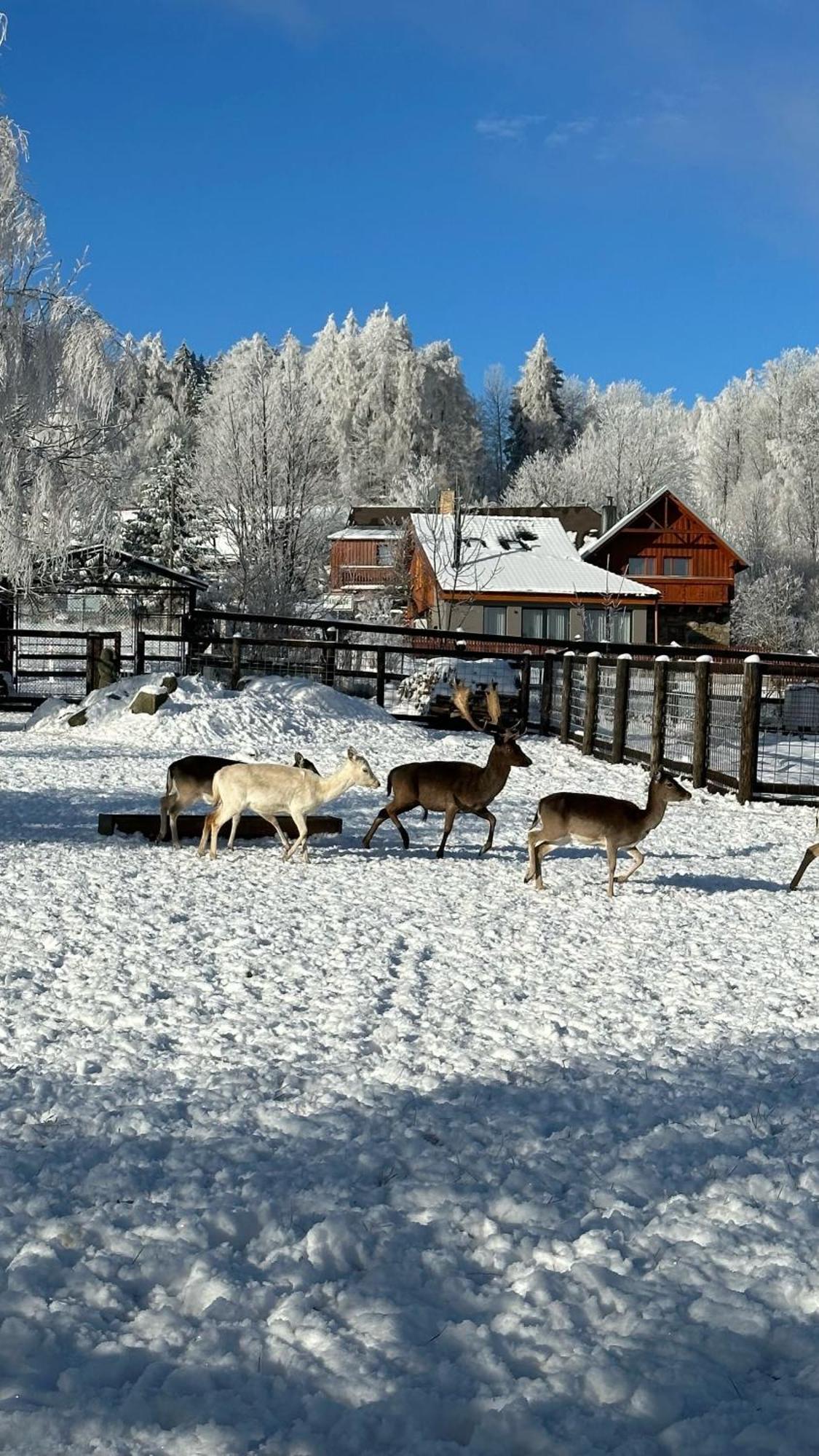Farma Frantisek Hotel Stachy Eksteriør billede